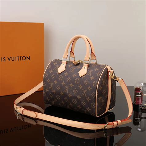 louis vuitton speedy 25 price|louis vuitton speedy 25 bag.